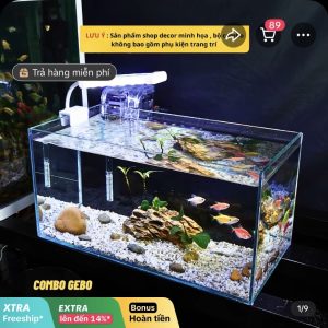 Hồ kính thủy sinh 40cm