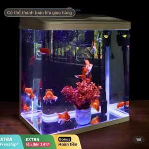 Hồ cá LED cao cấp