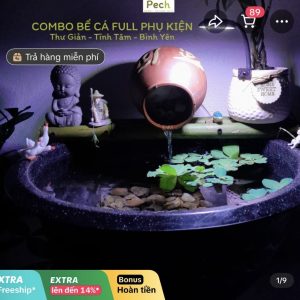 Hồ cá Koi ngoài trời