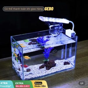 Combo setup hồ mini