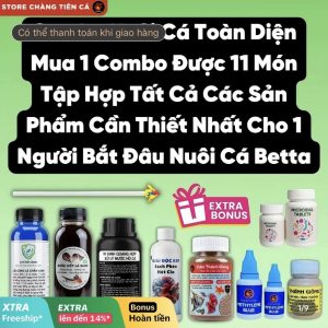 Combo người mới nuôi cá