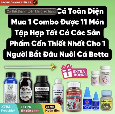 Combo người mới nuôi cá
